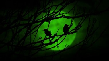 Kuşlar Ürkütücü Yeşil Ay 'la Ağaçtan Uçar