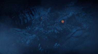 Timsah Puslu Bataklıkta Parlayan Gözlerle Ağzı Açtı