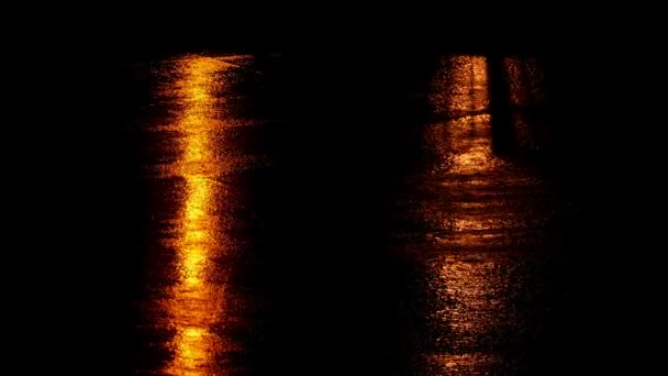 City Streetlights Reflected Road Rain — Stock video