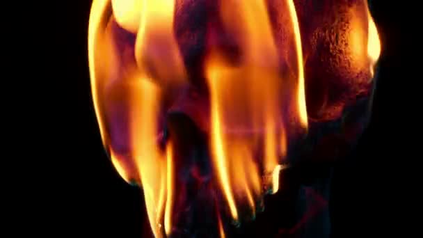 Skull Bursts Flames Closeup Versions — Stock Video