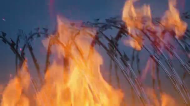 Razor Wire Fire Moving Shot — Stockvideo