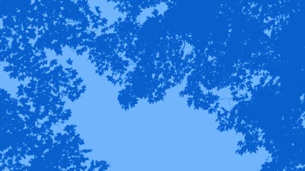 轮廓上方树木的自然边界 — 图库视频影像