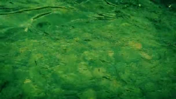 Giftigt Grön Ström Med Avfall Hälla — Stockvideo