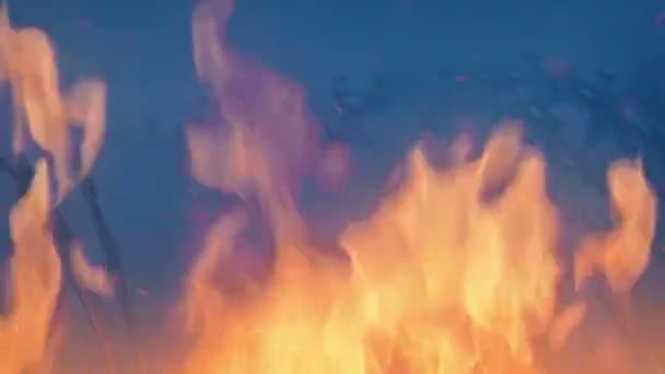 Alambre Afeitar Concepto Protección Seguridad Contra Incendios — Vídeos de Stock