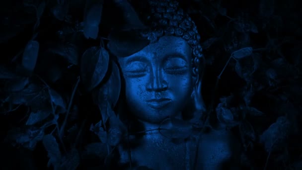 Buddha Statue Der Nacht Dschungel Entdeckt — Stockvideo