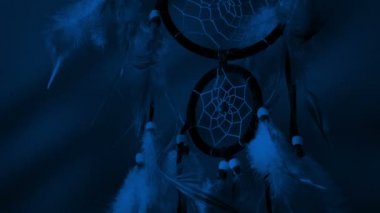 Korkunç Gölgeli Düş Yakalayıcı - Kötü Düşler Konsepti