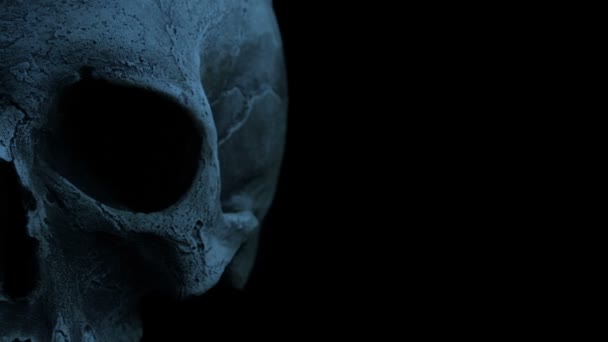 暗闇の中で古い人間の頭蓋骨を渡す — ストック動画