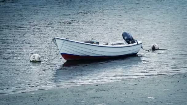 Bateau Près Rivage Journée — Video