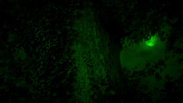 Scary Green Moon Old Tree Halloween Scene — Stockvideo