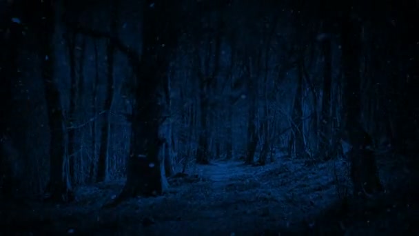 Pov Monster Löper Genom Skogen Snöfall — Stockvideo