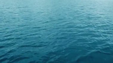 Deniz yüzeyinde süzülen