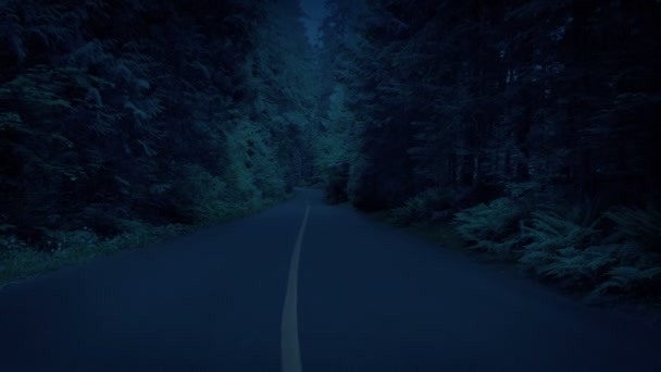 Gliding Tree Lined Road Dusk — Video