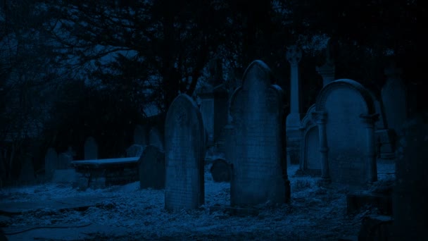 Snowing Graveyard Night — Vídeo de Stock