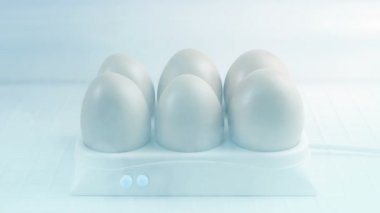 Laboratuvardan bir bilim adamı yumurtaları aldı.