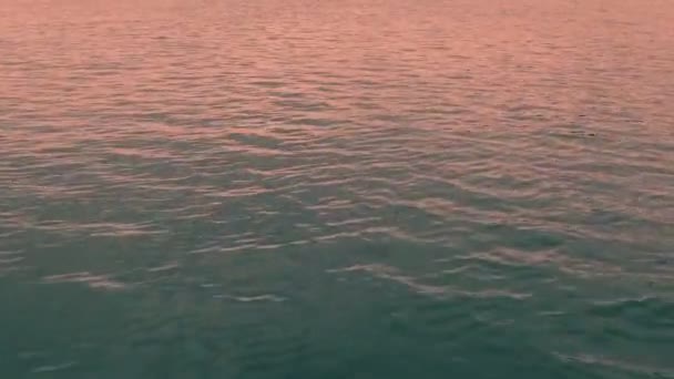 日落时分飞越水面 — 图库视频影像