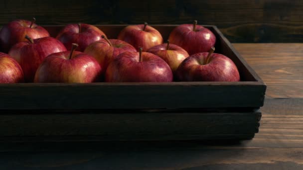 Boîte Pommes Rouges Sur Table — Video