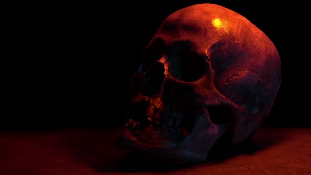 古代の頭蓋骨は暗闇の中でライトアップされます — ストック動画
