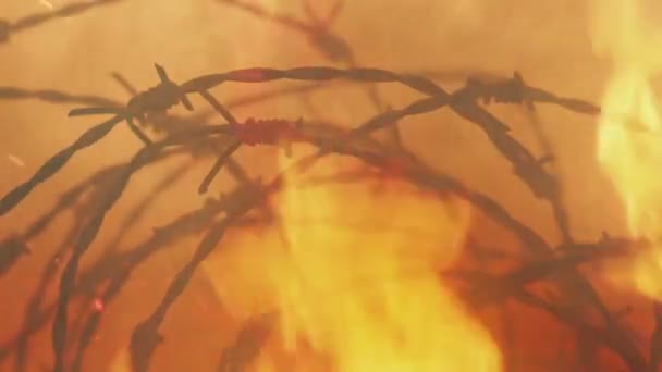 Колючая Проволока Барьер Бушующем Огне — стоковое видео