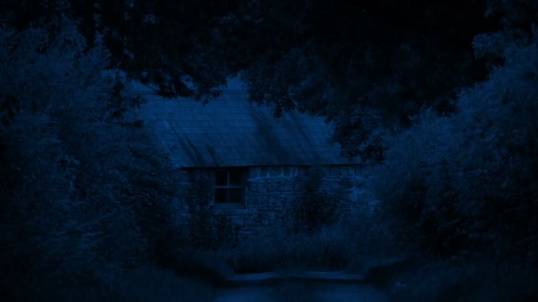 Landhaus Nachts Von Büschen Umrahmt — Stockvideo