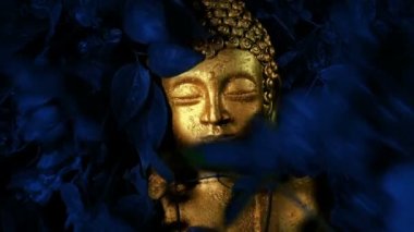Altın Buddha Gece Ormanında Yeniden Doğuyor
