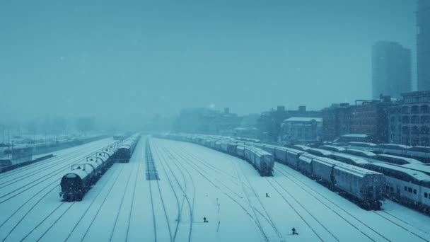 Сильний Снігопад Поїздах Пейзаж — стокове відео