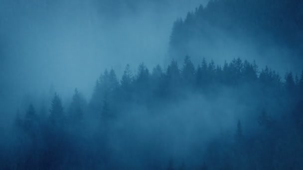 Misty Forest Hills Fortes Chuvas — Vídeo de Stock