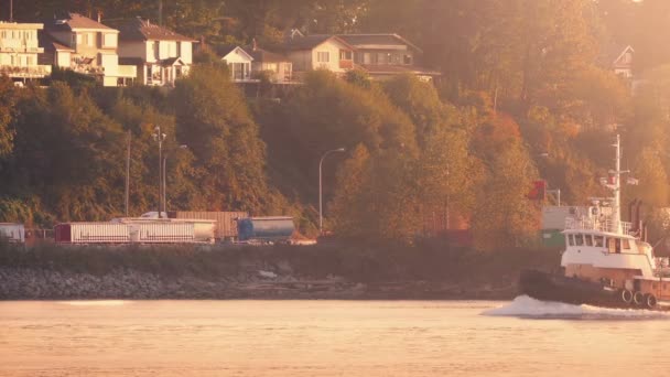 Boat Passing Bay Sunrise — Stock Video