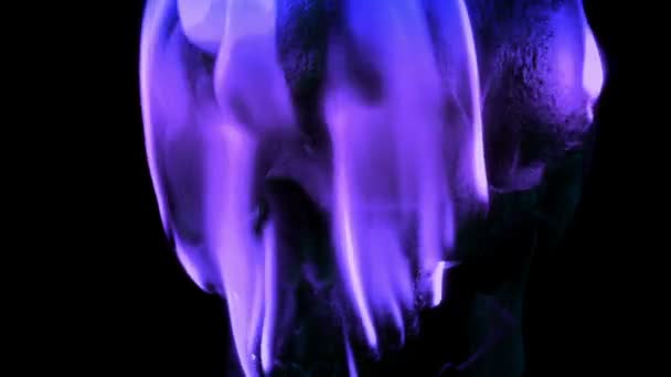 Calavera Quema Con Llamas Púrpuras Escena Fantasía — Vídeos de Stock