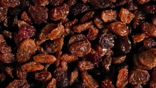 Raisins Fruit Macro Closeup Shot — Stock Video