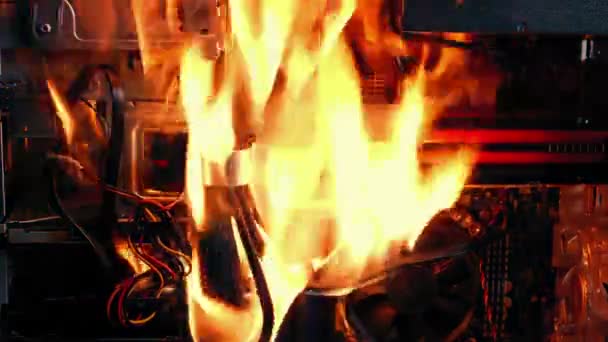Ogień Zaczyna Się Wewnątrz Komputera Burning Wires — Wideo stockowe
