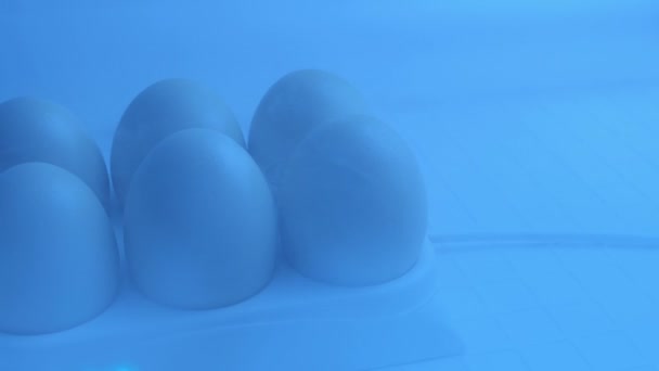 Passing Eggs Cooled Laboratory — Stock Video