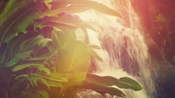 Водоспад Джунглів Барвистому Розквіті — стокове відео
