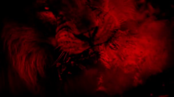 León Come Animal Muerto Red Abstract — Vídeo de stock