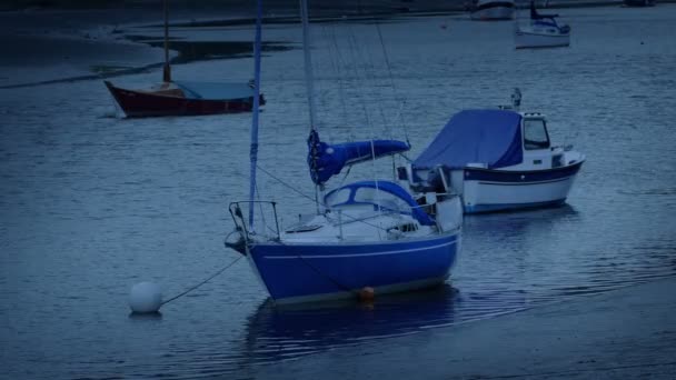 Barche Ormeggiate Vicino Alla Spiaggia Sera — Video Stock