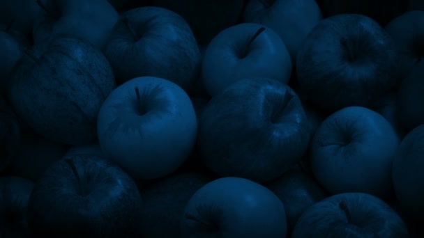 Μήλα Στο Σούπερ Μάρκετ Νύχτα — Αρχείο Βίντεο