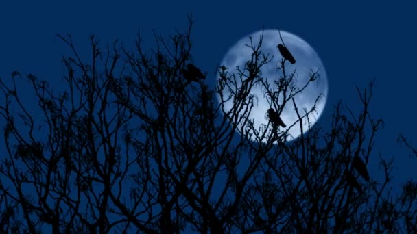 Πουλιά Πετούν Από Κλαδιά Δέντρων Νύχτα — Αρχείο Βίντεο