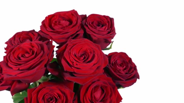 Великий Букет Троянд Ізольовано Білому — стокове відео
