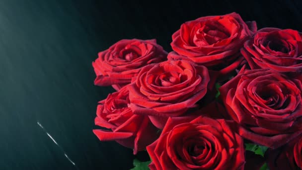 Pulverizando Rosas Com Spray Para Mantê Los Frescos — Vídeo de Stock