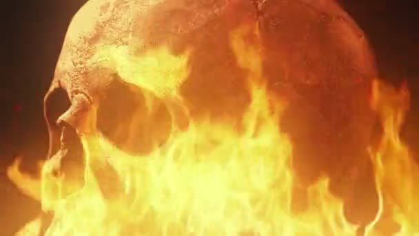 Skull Fire Smoke Closeup — Stock Video