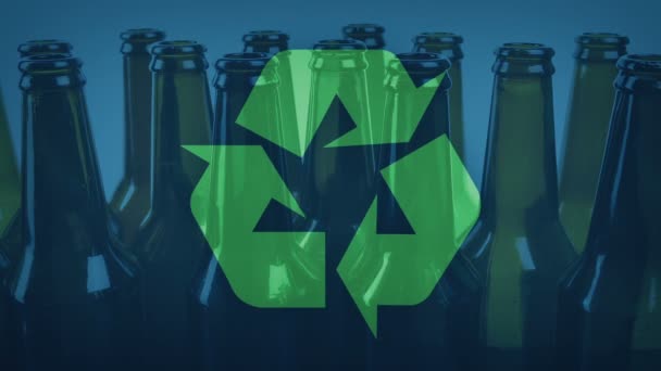 Prázdné Láhve Připravené Recyklaci Grafikou — Stock video