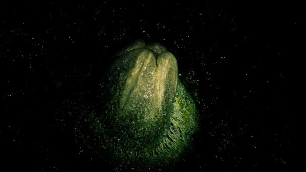 Taschenlampe Beleuchtet Alien Dunkler Höhle — Stockvideo