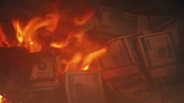 Piles Cash Burning Smoky Fire — Video