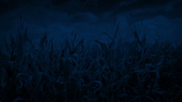 Ufo Powers Glows Corn Field Night — Stock Video