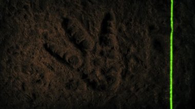 Canavar Ayak İzi Lazerle Tarandı