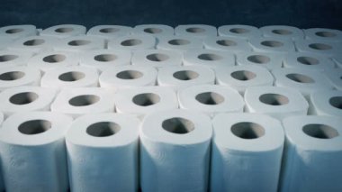 Survival Supplies Toilet Rolls In Storage