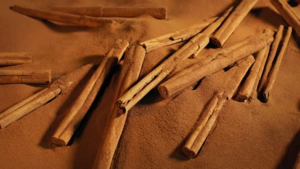 Cinnamon Sticks Cooking Baking Ingredient — Stok video