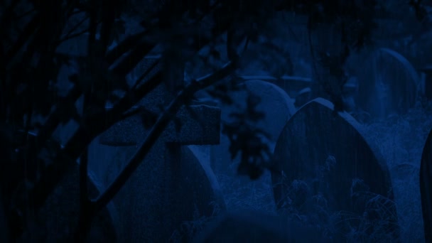 Llueve Sobre Cementerio Enmarcado Por Árboles Por Noche — Vídeo de stock