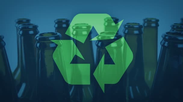 Bouteilles Vides Bière Pour Recyclage — Video