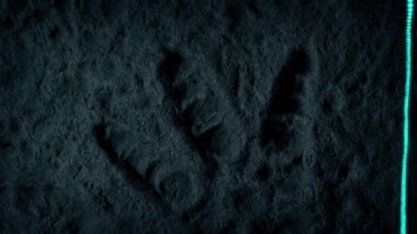 Dinosaur Fossil Footprint Is Scanned With Laser