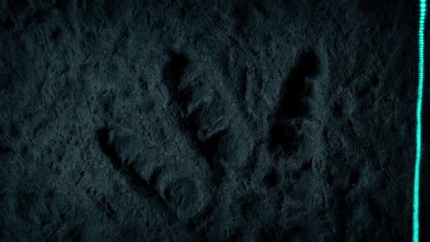 Dinosaur Fossil Footprint Scanned Laser — Stockvideo